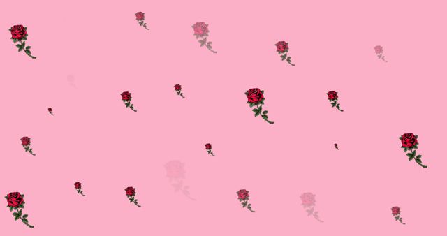 Multiple Roses on Pink Background Symbolizing Love and Fragility - Download Free Stock Images Pikwizard.com