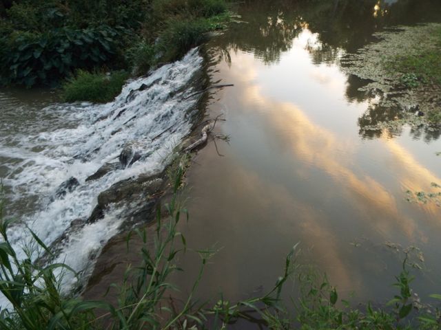 Waterfall cascading into river at sunset, reflecting soft golden light on water surface. Ideal for nature-themed promotions, travel brochures, relaxation content, and environmental campaigns.