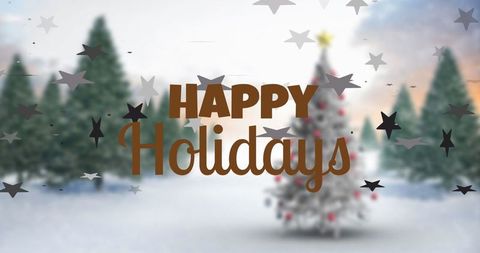 Festive Holiday Greeting Over Snowy Winter Wonderland