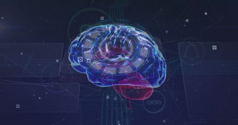 Futuristic Digital Brain on Tech Background Highlighting Neural Areas - Download Free Stock Images Pikwizard.com