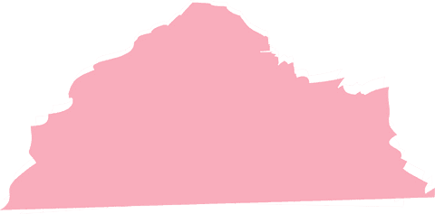 Minimal Pink Virginia Shape Outline on Transparent Background - Download Free Stock Videos Pikwizard.com