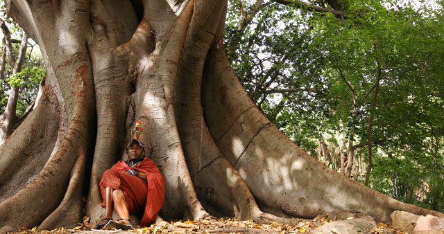 Person Resting Against Ancient Tree Trunk in Forest - Download Free Stock Images Pikwizard.com