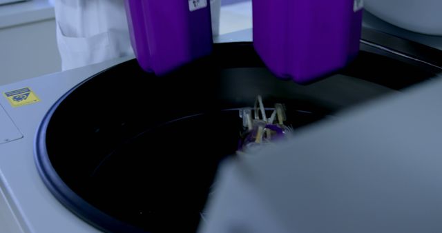 Purple Centrifuge Containers in Laboratory - Download Free Stock Images Pikwizard.com