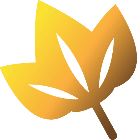 Yellow Leaf Vector Illustration on Transparent Background - Download Free Stock Videos Pikwizard.com