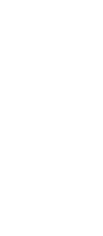 Silhouette of Woman in Confident Stance on Transparent Background - Download Free Stock Videos Pikwizard.com