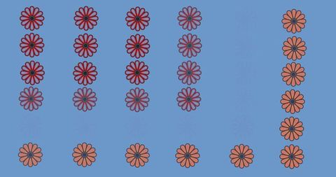 Sequential Red and Orange Flower Patterns on Blue Background - Download Free Stock Images Pikwizard.com