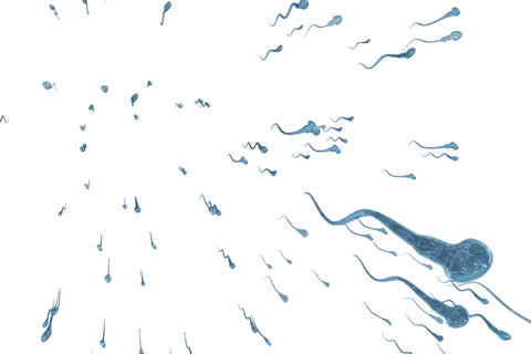 transparent fluid sperm movement pattern; flowing dynamics - Download Free Stock Videos Pikwizard.com