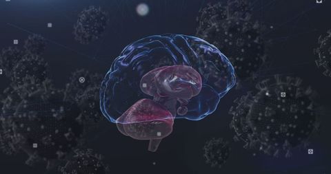 Dynamic Visualization of Human Brain Amidst Covid-19 Particles - Download Free Stock Images Pikwizard.com