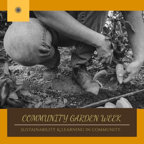 community gardening event ad with close up on gardener working - Download Free Stock Templates Pikwizard.com