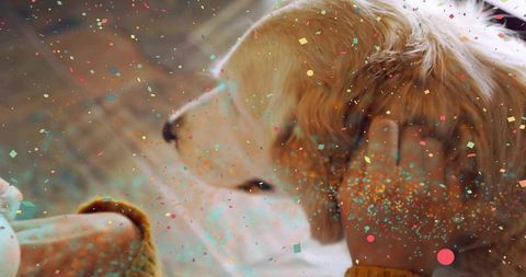 Woman petting light-furred dog with mustard knit sleeve and warm colorful confetti overlay