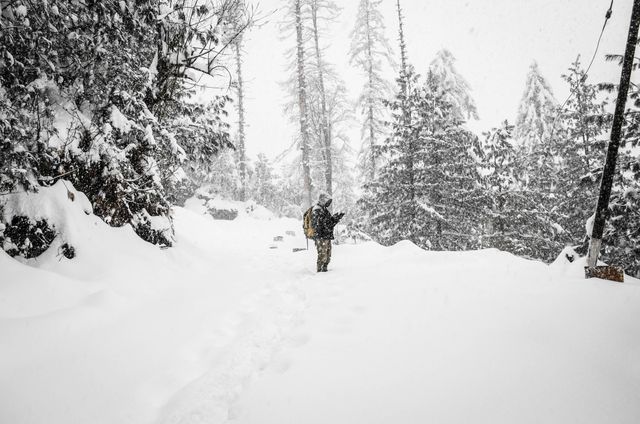 Man standing alone in a forest during a heavy snowstorm. Snow-covered trees surround him, creating a serene and cold winter ambiance. Useful for themes of solitude, nature exploration, adventure, and winter weather.