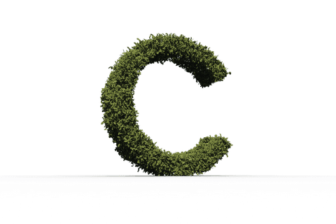 transparent letter c formed by green lush leaves - Download Free Stock Videos Pikwizard.com