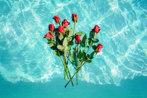 Red roses floating in turquoise water beneath natural sunlight