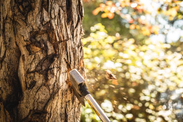 Close-up of a person chopping a tree trunk with an axe in a forest. Trees with autumn leaves are in the blurred background, which hints at a seasonal setting. Useful for illustrating outdoor activities, logging, woodwork, forest conservation issues or educational materials about tools and nature.