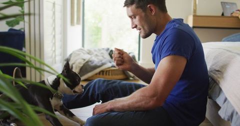 Caucasian Man Playing with Dog at Home in Bright Room