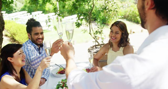 Friends Enjoying Outdoor Lunch Toasting with Champagne - Download Free Stock Images Pikwizard.com