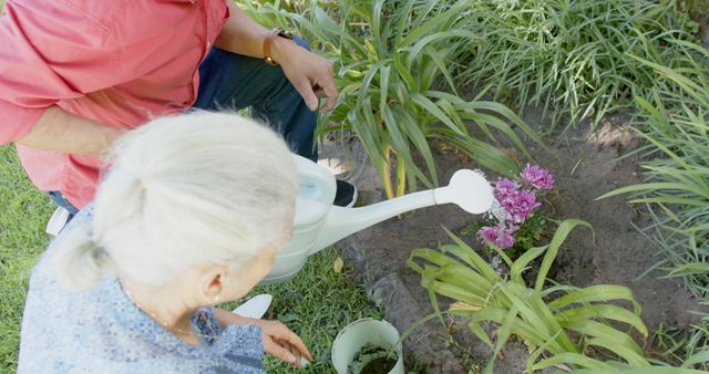 Elderly Woman Gardening with Assistant, Watering Plants in Backyard Garden - Download Free Stock Images Pikwizard.com