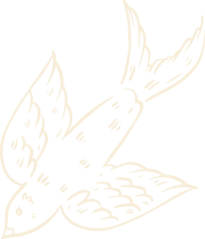 Translucent Hybrid Creature with Wing Fins in Line Sketch - Download Free Stock Videos Pikwizard.com