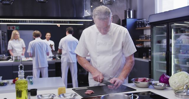 Professional Chef Preparing Meal in Modern Culinary Kitchen - Download Free Stock Images Pikwizard.com