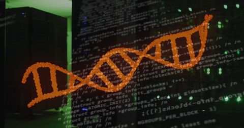 Digital DNA Strand Overlay on Data Processing in Server Room - Download Free Stock Images Pikwizard.com