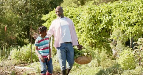 Grandfather and Grandson Enjoying Sunny Day in Vegetable Garden