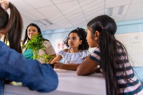 Diverse students and african american teacher examining potted plant during science lesson