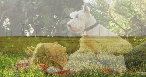 Dreamy double exposure woman with terrier in wildflower meadow and wind turbines
