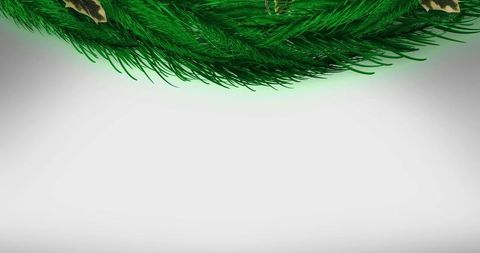 Christmas spruce branch border with holly and berry decoration