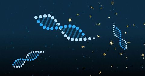 Floating blue dna helix over navy gradient with gold stars, genomics biotech background