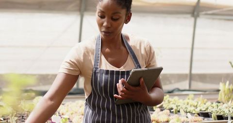 Horticulturist Inspects Succulents in Eco-Friendly Greenhouse