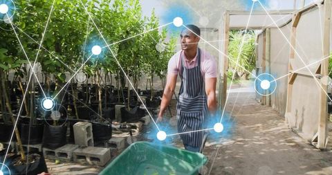 Gardener Moving Wheelbarrow in Eco-Friendly Nursery Pathway