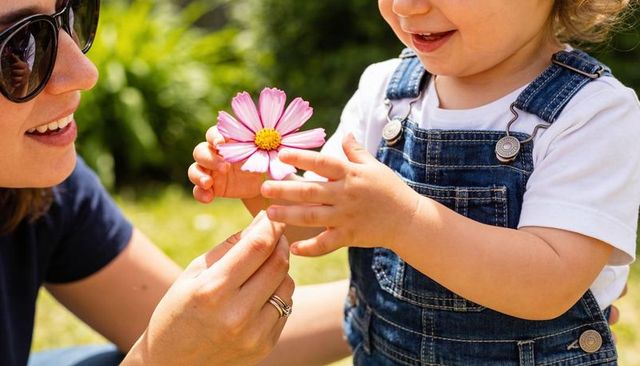 Toddler reaching for pink daisy while parent offering flower in sunny garden moment