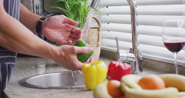 Man Washing Fresh Vegetables in Kitchen Sink with Running Water - Download Free Stock Images Pikwizard.com