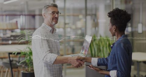 Business Partners Handshake Illustrating Collaborative Success