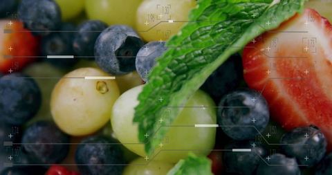 Vibrant Mix of Blueberries Grapes Strawberries with Mint Leaves