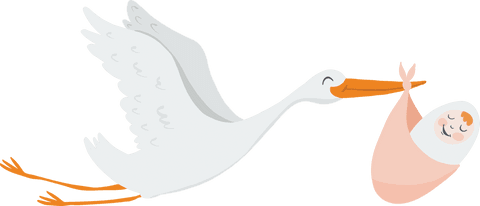 Stork Carrying Baby Illustration on Transparent Background