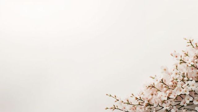 Delicate pale pink cherry blossoms on branches with soft neutral background
