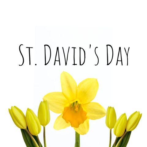 st. david's day daffodils celebrating welsh culture - Download Free Stock Templates Pikwizard.com