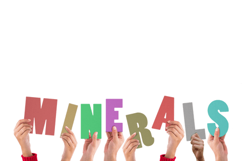 hands holding colorful minerals letters on transparent background - Download Free Stock Videos Pikwizard.com