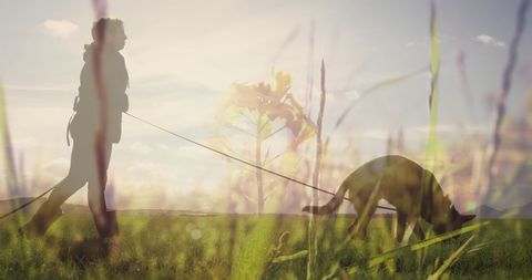 Man Walking Dog in Idyllic Grassland Scenic View - Download Free Stock Images Pikwizard.com