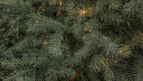 Glowing Evergreen Branches with Warm LED Lights Close-Up Needle Texture Background