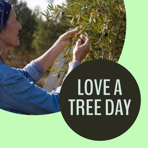 Celebrating Nature on Love a Tree Day - Download Free Stock Templates Pikwizard.com