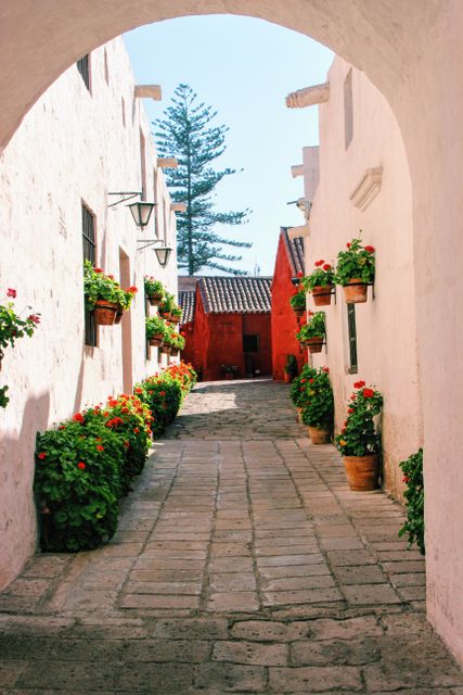 Charming alley features vibrant flowers in pots adorning walls under an arched roof, creating a picturesque and historic ambiance. Use for travel blogs, architecture magazines, or decoration inspiration.
