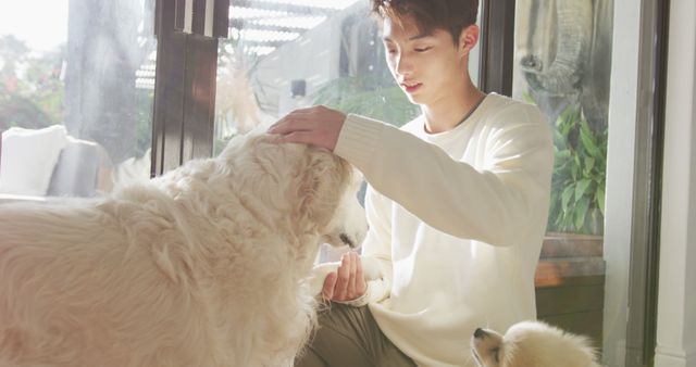 Happy asian male teenager petting his dogs in living room - Download Free Stock Photos Pikwizard.com