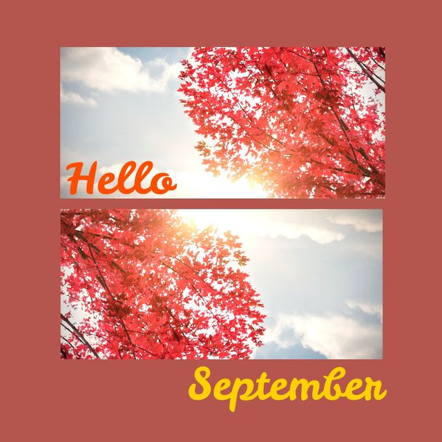 Collage featuring vibrant red maple leaves against cloudy sky, with 'Hello September' text. Great for seasonal greetings, social media posts, and templates for announcements.