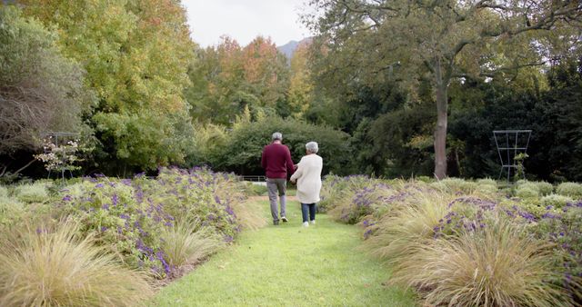Rear view of diverse senior couple holding hands walking in sunny garden, copy space. Retirement, togetherness, relationship, nature and active senior lifestyle, unaltered.