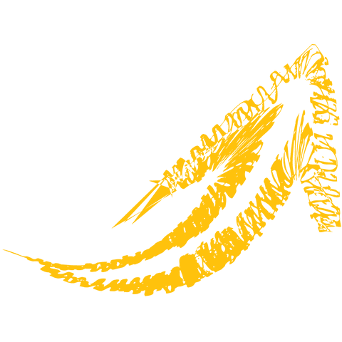 yellow scribble arrow on transparent background - Download Free Stock Videos Pikwizard.com