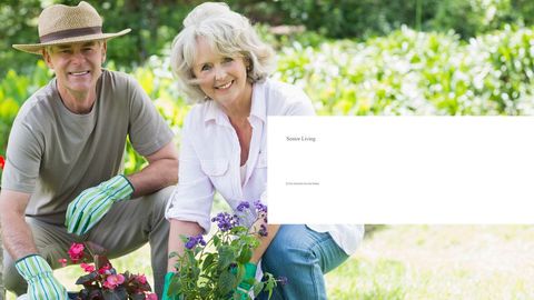 Senior couple enjoying gardening in sunlit backyard