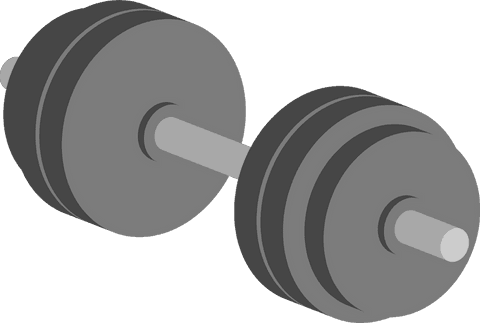 Flat vector style barbell weight on transparent layer
