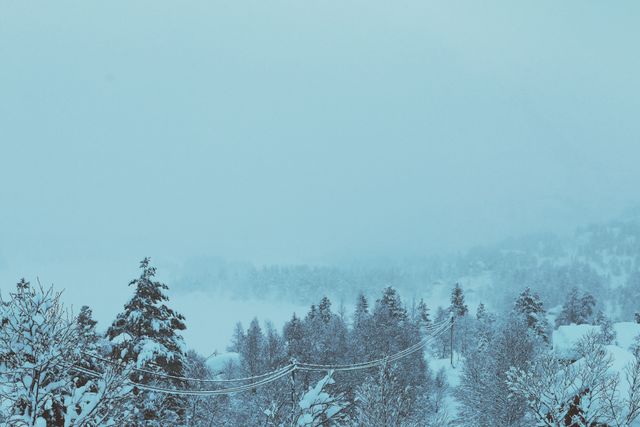 Beautiful forest blanketed in snow under a tranquil blue haze. Captures the essence of winter's peacefulness and the calmness of nature. Ideal for use in seasonal promotions, winter-themed articles, nature blogs, and calming background visuals.